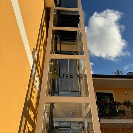 B&B Oliveto Caserta Buitenkant foto
