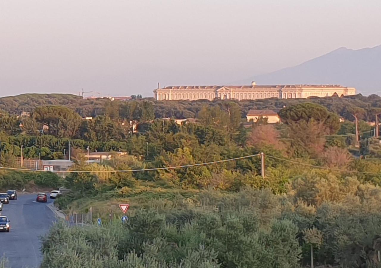 B&B Oliveto Caserta Buitenkant foto